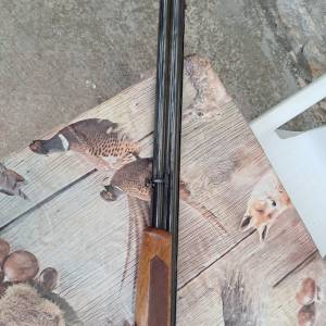 Lov.puska Renato Gamba