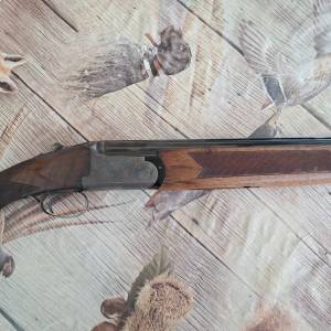 Lov.puska Renato Gamba