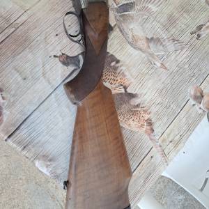 Lov.puska Renato Gamba