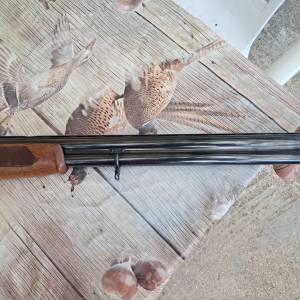 Lov.puska Renato Gamba