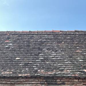 POKLANJAM sitni biber crijep