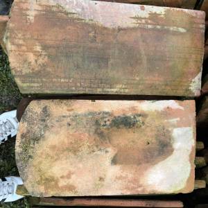 POKLANJAM sitni biber crijep