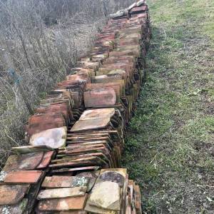 POKLANJAM sitni biber crijep