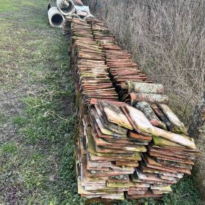 POKLANJAM sitni biber crijep