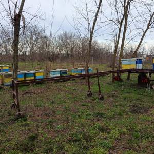 Prikolica i Košnice LR