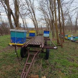 Prikolica i Košnice LR