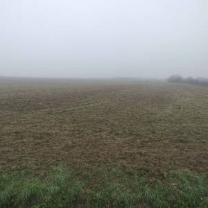 Prodajem ili mijenjam