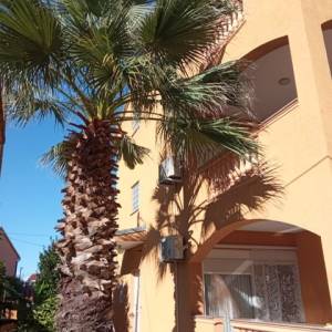 Pula- Monvidal stan 128m2 + stan 46m2, terasa, dvorište, PM