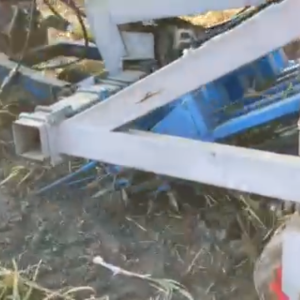 Sijačica i vadilica za češnjak