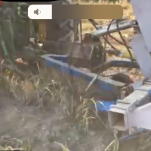 Sijačica i vadilica za češnjak