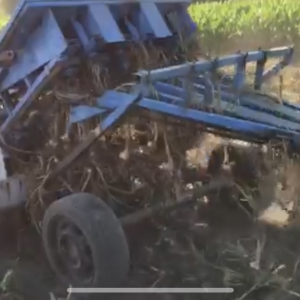 Sijačica i vadilica za češnjak