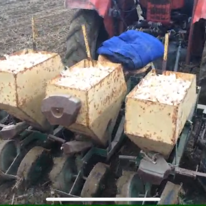 Sijačica i vadilica za češnjak