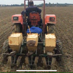 Sijačica i vadilica za češnjak