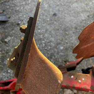 Vogel Noot L950