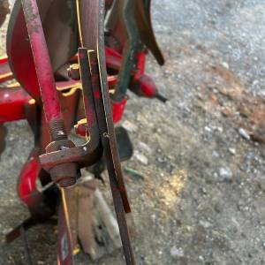 Vogel Noot L950