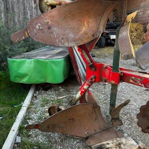 Vogel Noot L950