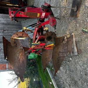 Vogel Noot L950