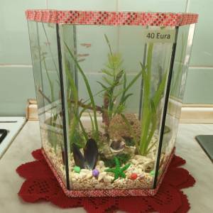 Akvarij kugla sa ribicama