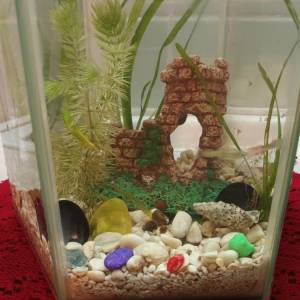 Akvarij šesterokutni, 19 litara