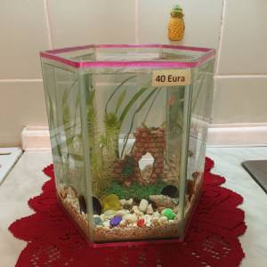 Akvarij šesterokutni, 19 litara