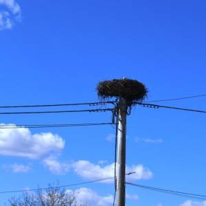 Atraktivno građevin. zemljišta Jastrebarsko - Novaki Petrovinski-803m2