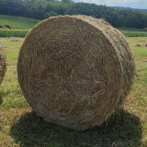 Balirka Deutz Fahr Gp510