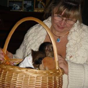 Dobro dresirani kapucinski majmuni na prodaju