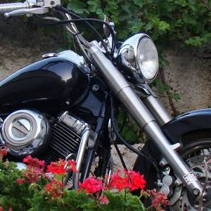 Dragstar 650__14 g.vlasnik_28tkm_reg 5/26_oprema_GRATIS kožna odijela