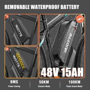 Duotts C29 Pro Električni bicikl 750W Novo