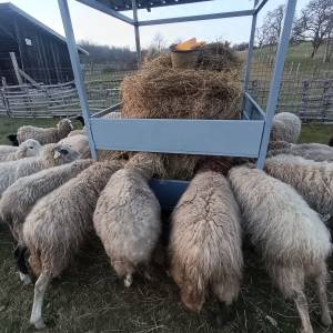 Hranilica s krovom za ovce, konje, krave...