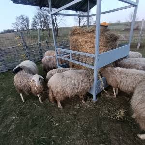 Hranilica s krovom za ovce, konje, krave...