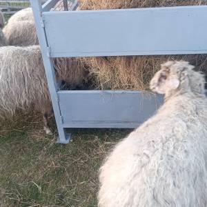 Hranilica za ovce, konje, krave...