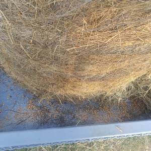 Hranilica za ovce, konje, krave...