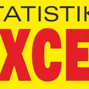 Instrukcije iz statistike u EXCEL-u za Libertas