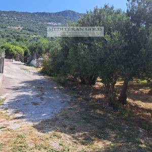 Kaštel Stari, prodaje se atraktivno poljoprivredno zemljište, pogled