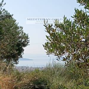 Kaštel Stari, prodaje se atraktivno poljoprivredno zemljište, pogled