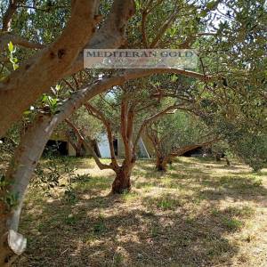 Kaštel Stari, prodaje se atraktivno poljoprivredno zemljište, pogled