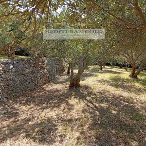 Kaštel Stari, prodaje se atraktivno poljoprivredno zemljište, pogled