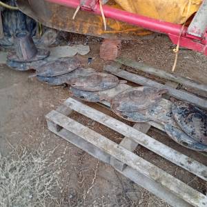 Kosa diskasta GRAMIP2018 god