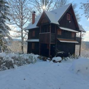 Kravarsko - Gajevo, drvena kuća 57m2, parcela 2.934m2, PM