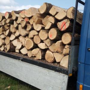 Ognjevska drva prva klasa  tocna mjera