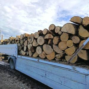 Ognjevska drva prva klasa  tocna mjera