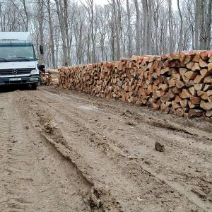 Ognjevska drva prva klasa  tocna mjera