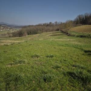 POLJOPRIVREDNO ZEMLJIŠTE