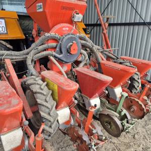 Sijačica Kuhn-Nodet