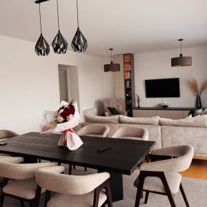 Stan Osijek, Novi grad