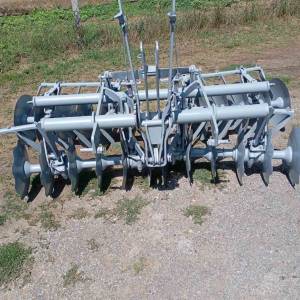 Tanjurače leskovačke