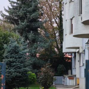 Voltino- pet friendly stan