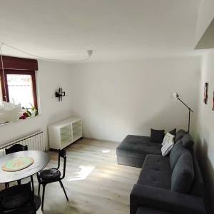 Voltino- pet friendly stan