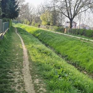 Voltino- pet friendly stan